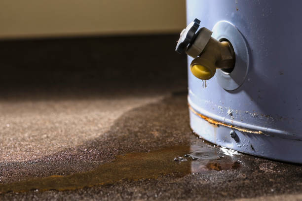 Best Water damage restoration near me  in Tuscumbia, AL