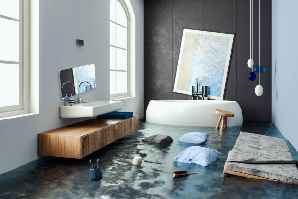 Best Water damage restoration company  in Tuscumbia, AL