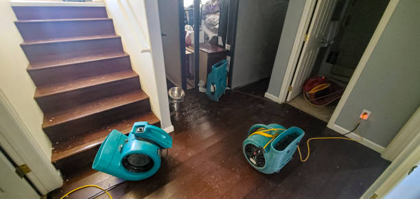 Best Flood restoration services  in Tuscumbia, AL