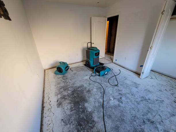 Best Emergency water damage restoration  in Tuscumbia, AL