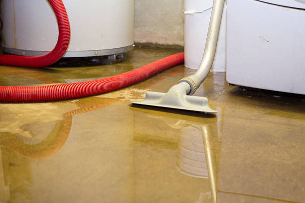  Tuscumbia, AL Water damage restoration Pros