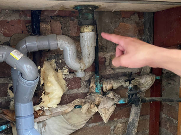 Best Water damage restoration near me  in Tuscumbia, AL