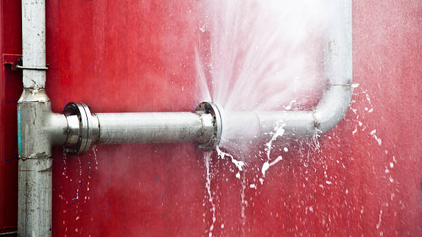 Best Sewage cleanup and water damage restoration  in Tuscumbia, AL